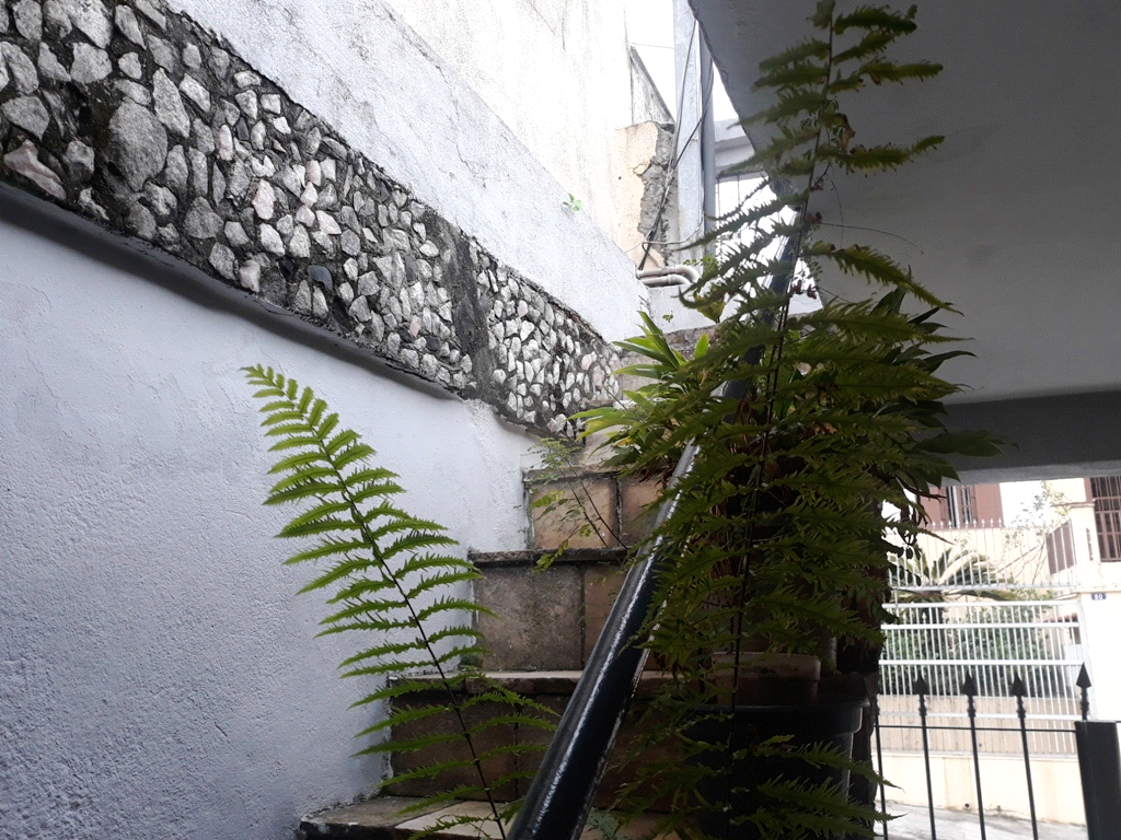 Casa, 3 quartos, 120 m² - Foto 46