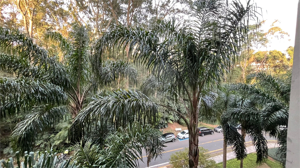 Apartamento, 4 quartos, 245 m² - Foto 32