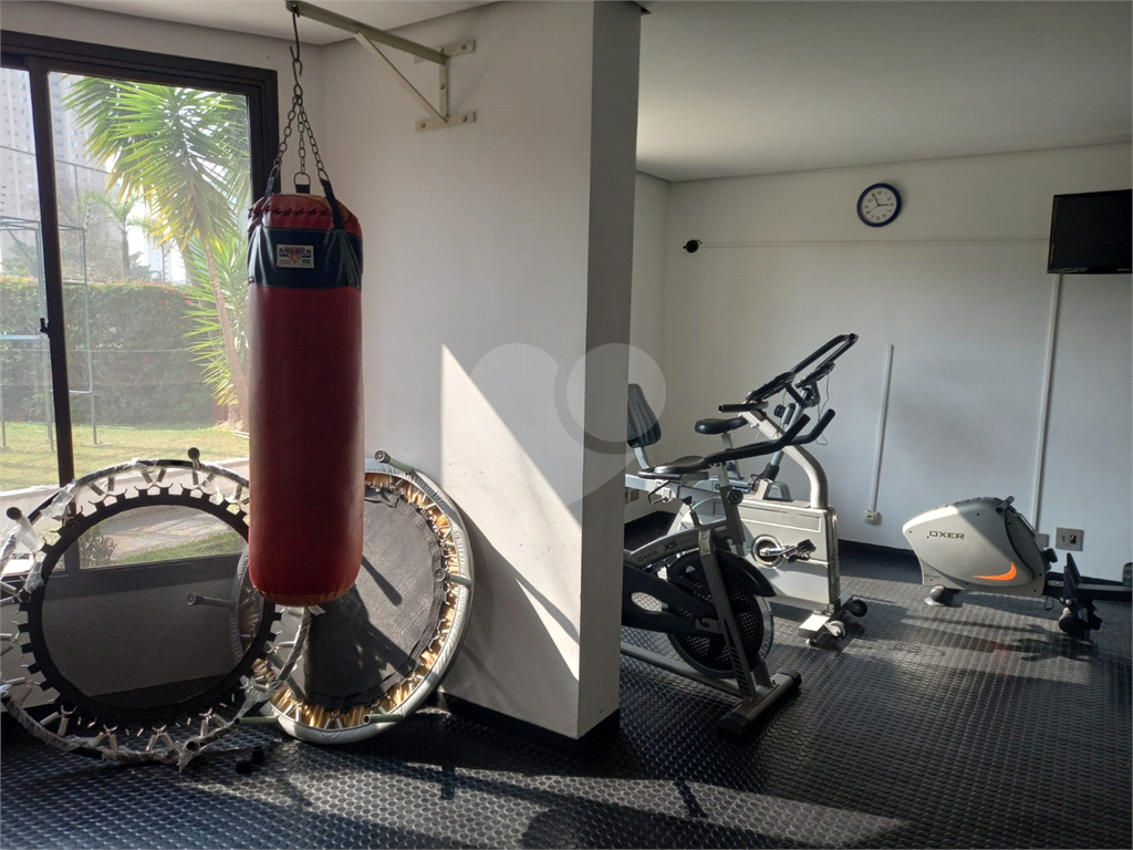 Apartamento para Venda e locação - Alto da Lapa