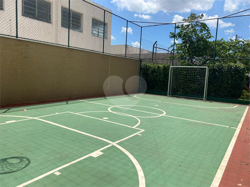 APARTAMENTO em LAPA