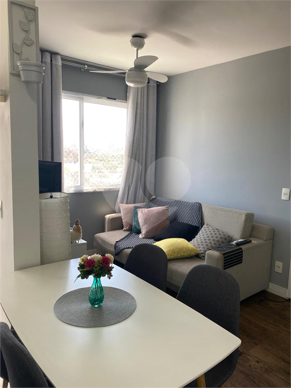 APARTAMENTO em LAPA