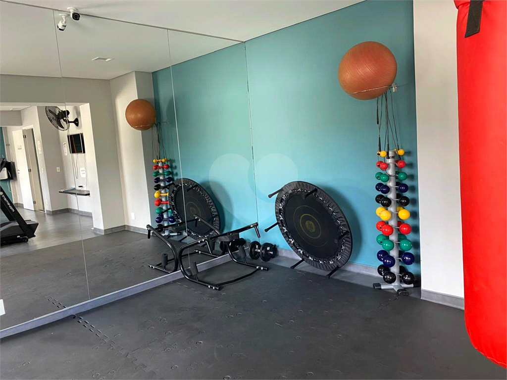 APARTAMENTO em LAPA