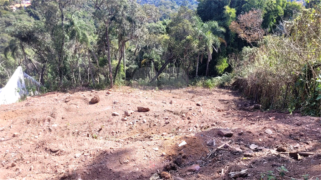 Terreno, 1064 m² - Foto 4