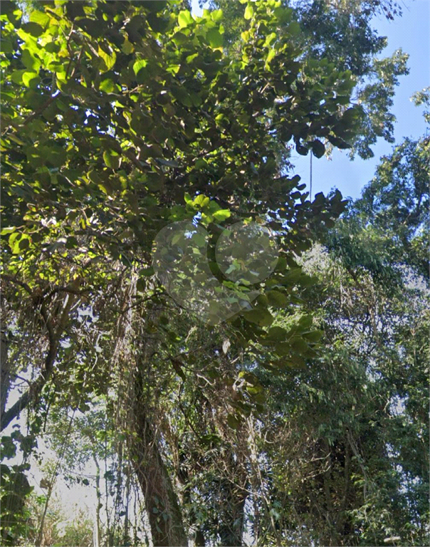 TERRENO PRÓXIMO AO BAIRRO TREMEMBÉ E SERRA DA CANTAREIRA