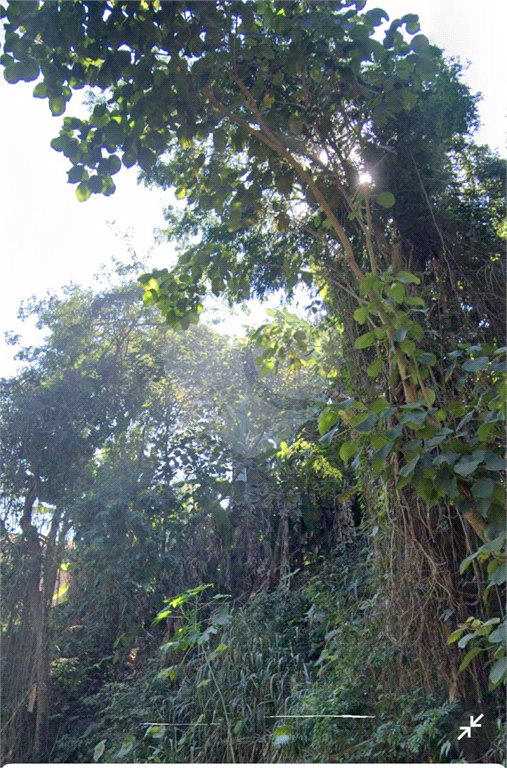 TERRENO PRÓXIMO AO BAIRRO TREMEMBÉ E SERRA DA CANTAREIRA