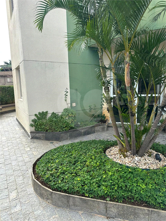 Apartamento na Vila Matilde