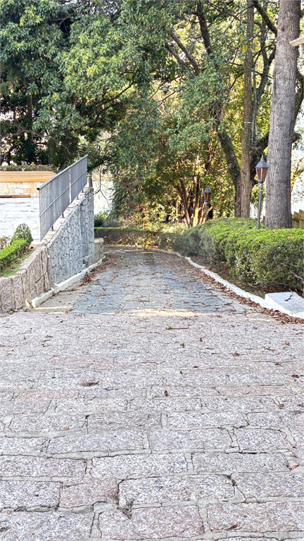 Propriedade Versátil em Terreno Gigante – Ideal para Família ou Investidor