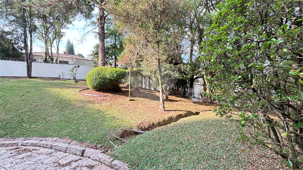 Propriedade Versátil em Terreno Gigante – Ideal para Família ou Investidor