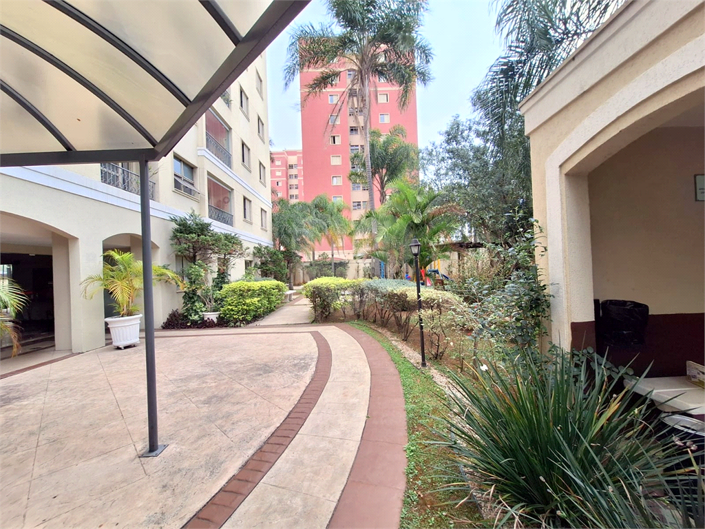 Apartamento à venda com 3 quartos, 60m² - Foto 34