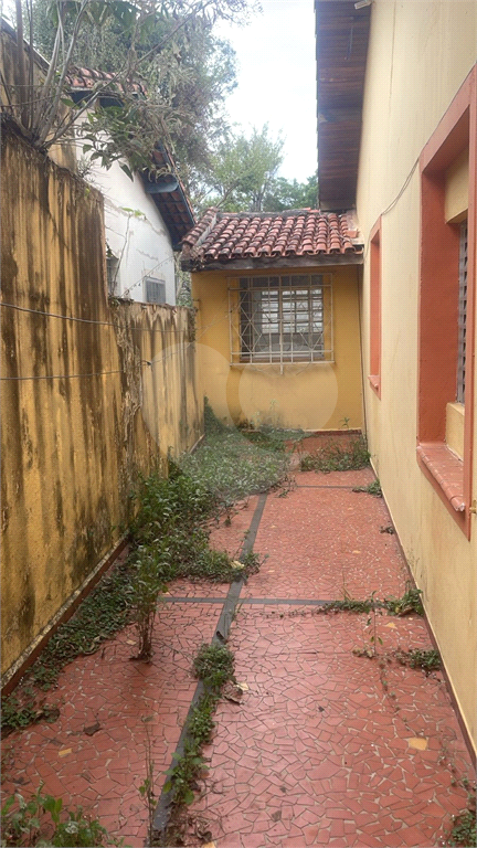 CASA TREMEMBE