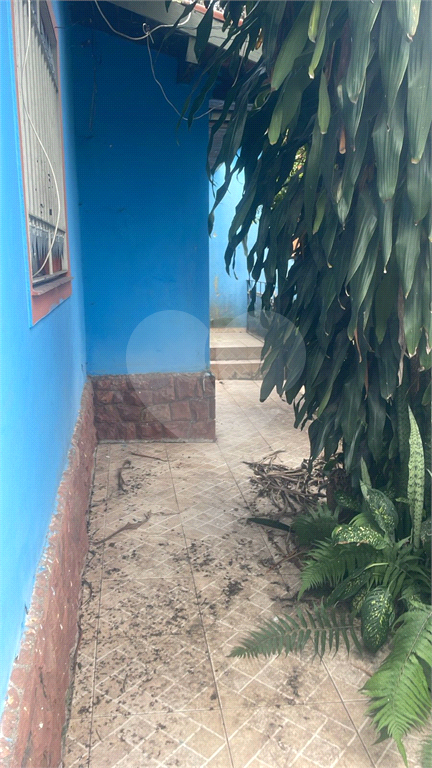 CASA TREMEMBE