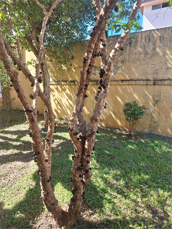 Casa, 6 quartos, 234 m² - Foto 11