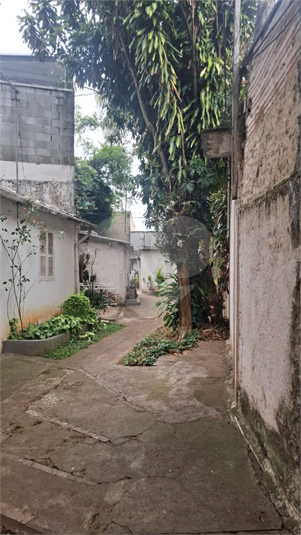 TERRENO em MIRANDÓPOLIS