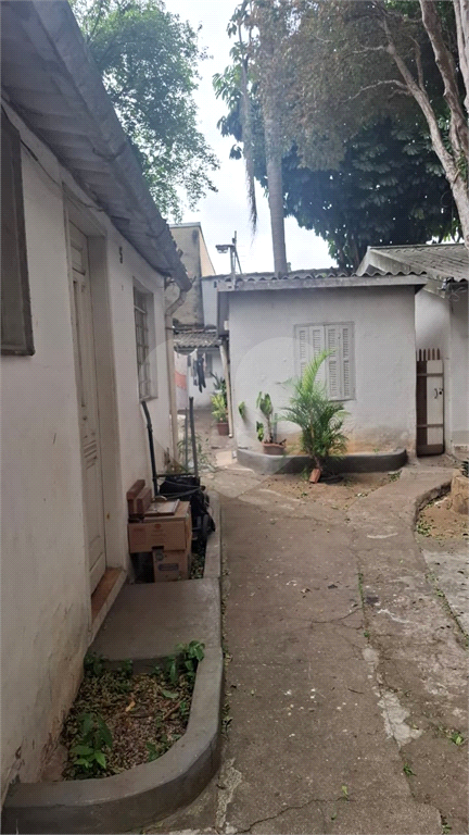 TERRENO em MIRANDÓPOLIS