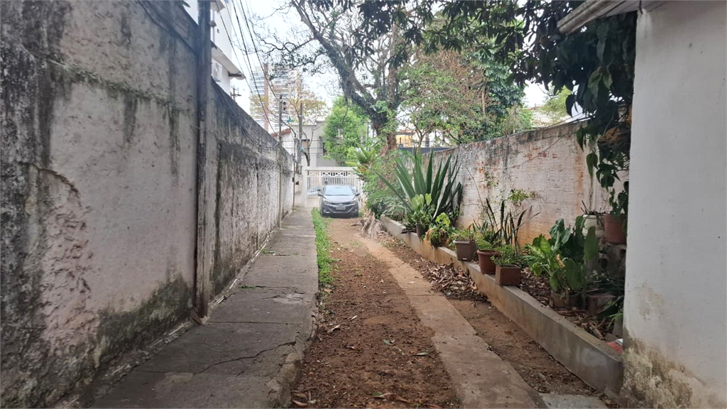 TERRENO em MIRANDÓPOLIS