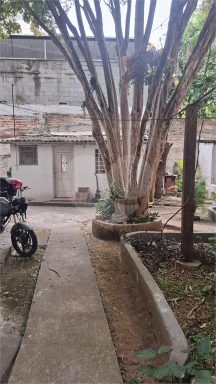 TERRENO em MIRANDÓPOLIS