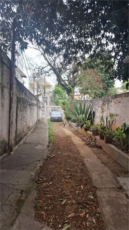 TERRENO em MIRANDÓPOLIS
