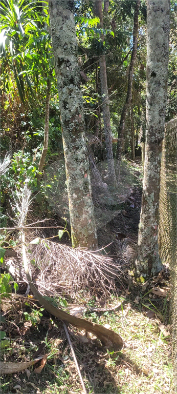 Casa de Condomínio - Foto 9