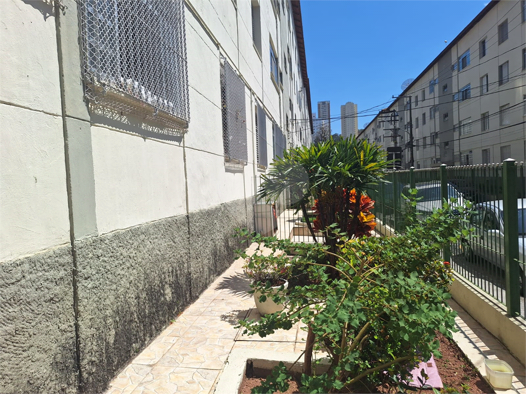 APARTAMENTO em MANDAQUI