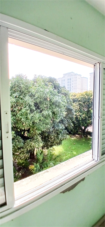 APARTAMENTO em MANDAQUI
