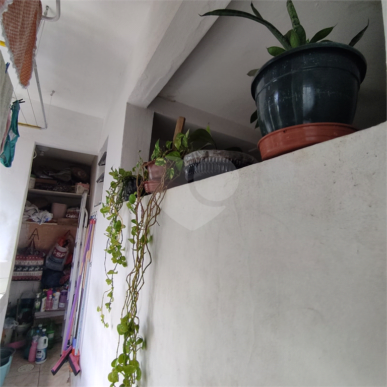 Apartamento no Parque Mandaqui