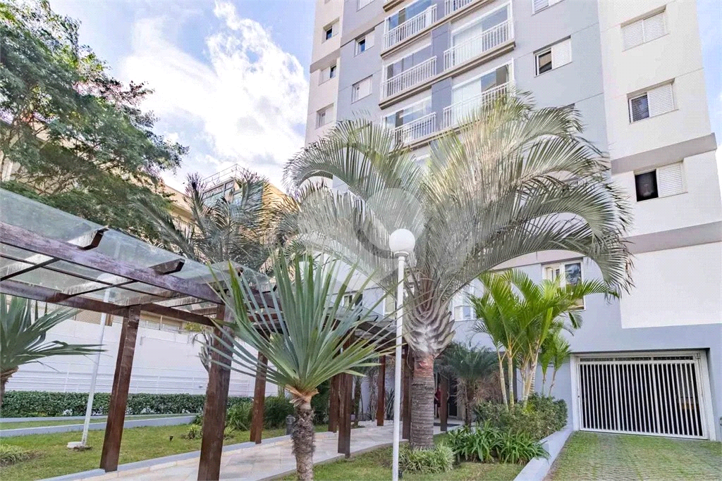 Apartamento com 3 dormitorios e varanda gourmet