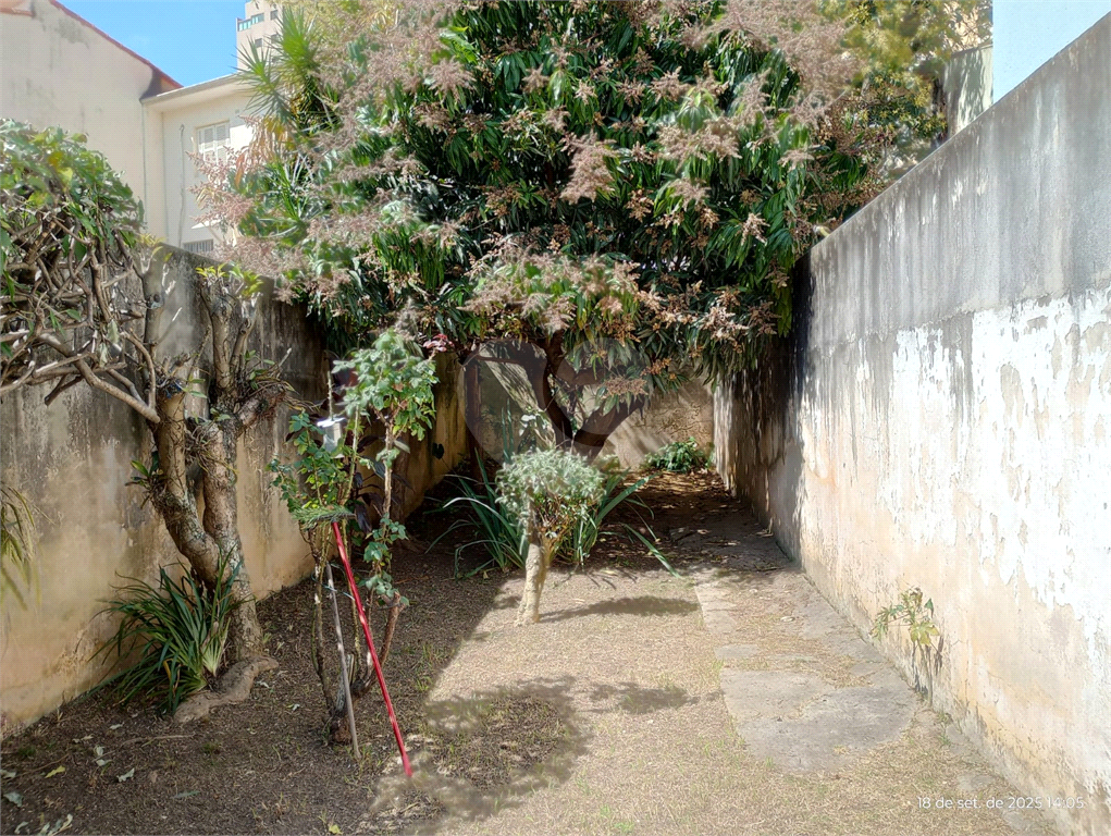 Sobrado com quintal Jardim São Paulo