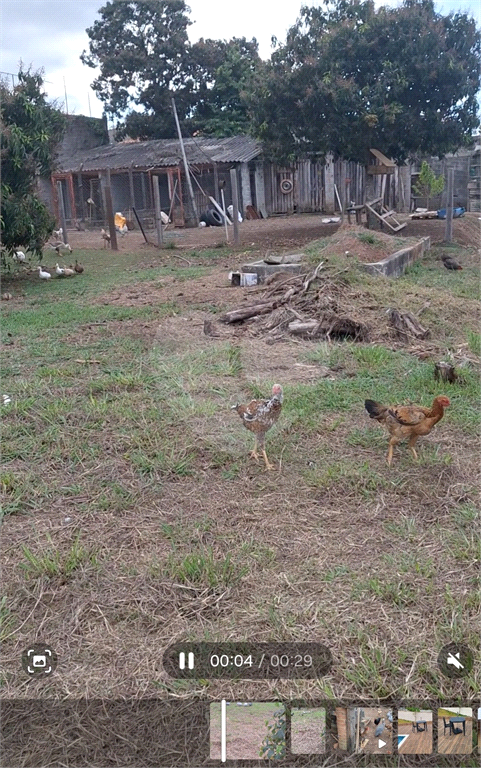 Casa, 3 quartos, 400 m² - Foto 14