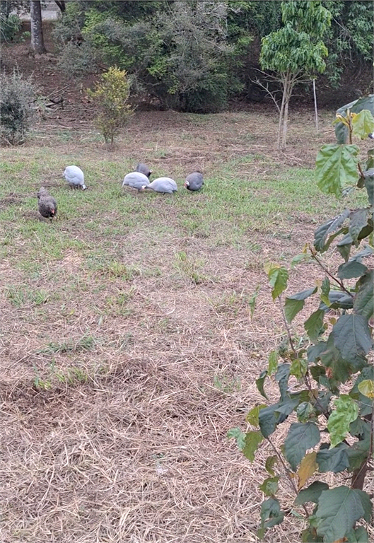 Casa, 3 quartos, 400 m² - Foto 17