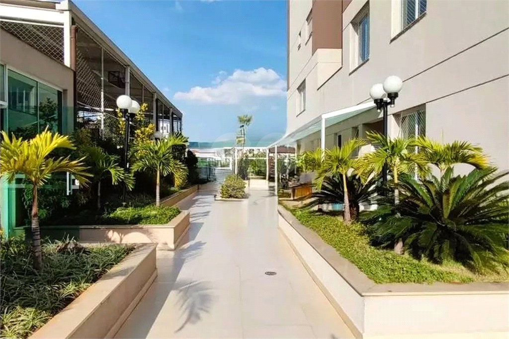 Apartamento Vila Guilherme 3 quartos, sendo 2 suítes, e 2 vagas de garagem 