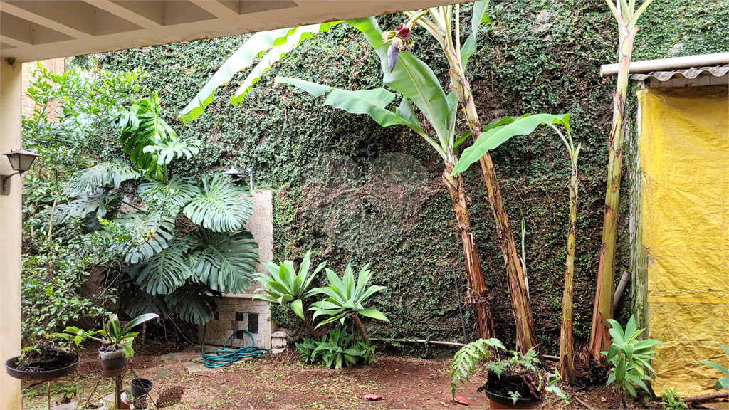 Casa de 460m² 4 quartos grandes, 1 suíte, 2 vagas Sumaré