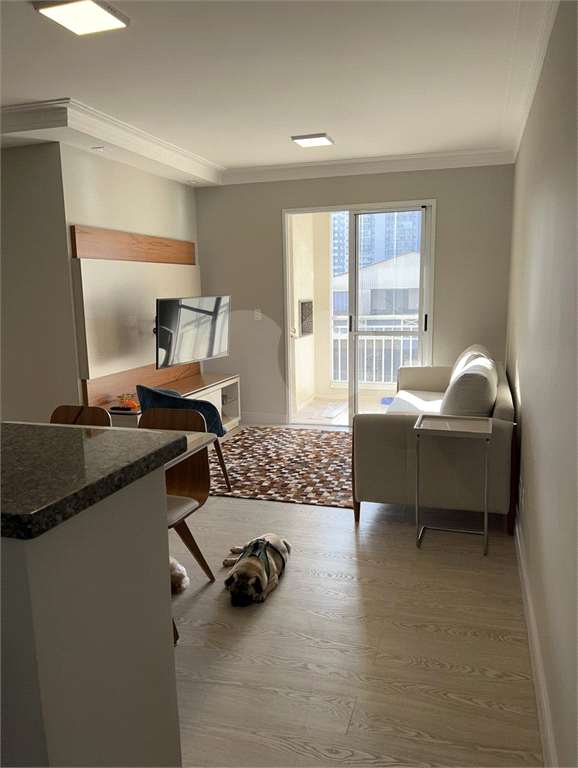 Apartamento na Região da Mooca com 3 Dormitórios (1 Suíte) com Sacada Gourmet e 1 Vaga de Garagem 
