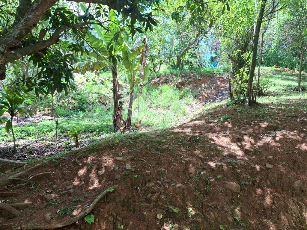 Chácara LOCAÇÃO Mairiporã com 48.000m2, 4 casas, piscina, estábulo para 6 cavalos, área gourmet e lago com peixes. 