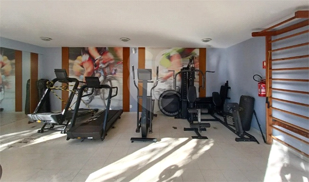 Apartamento à venda - Vila Maria Alta - SP
