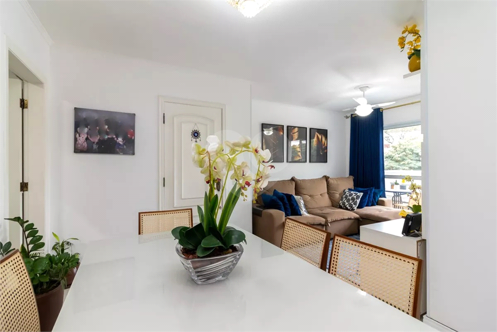 Apartamento Jardim São Paulo 3 dormitórios, sendo 1 suíte e 2 vagas de garagem 