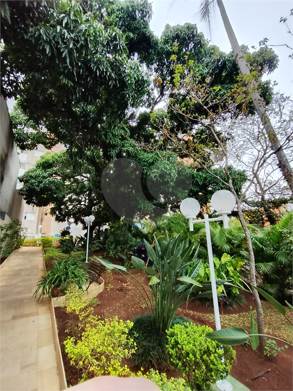 Apartamento 3 quartos (1 Suíte) com 2 Vagas — Porteira Fechada e Vista Deslumbrante, Alto de Santana