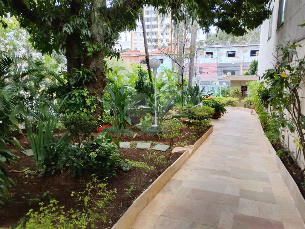 Apartamento 3 quartos (1 Suíte) com 2 Vagas — Porteira Fechada e Vista Deslumbrante, Alto de Santana