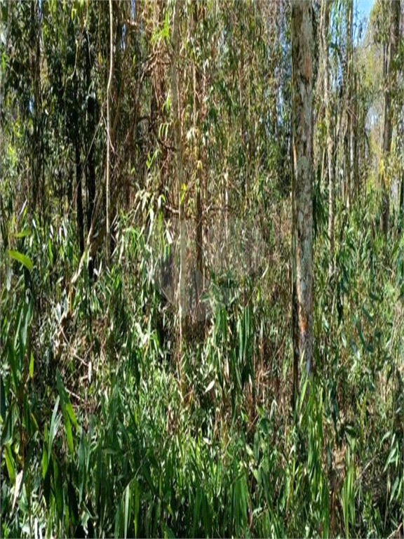 Terreno, 2201 m² - Foto 6