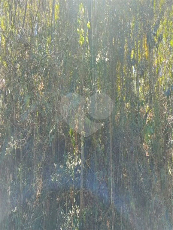 Terreno, 2201 m² - Foto 7