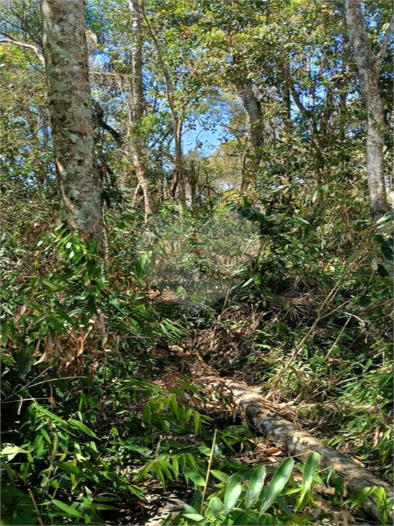 Terreno, 2201 m² - Foto 8