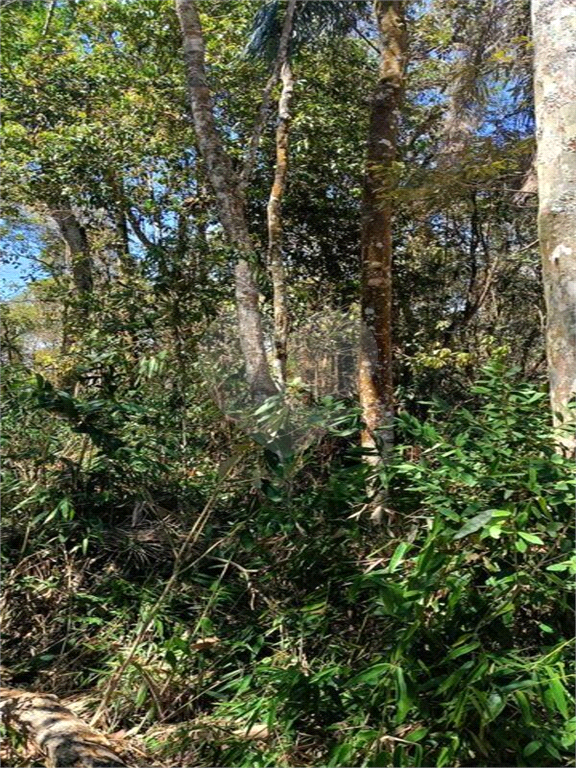 Terreno, 2201 m² - Foto 4