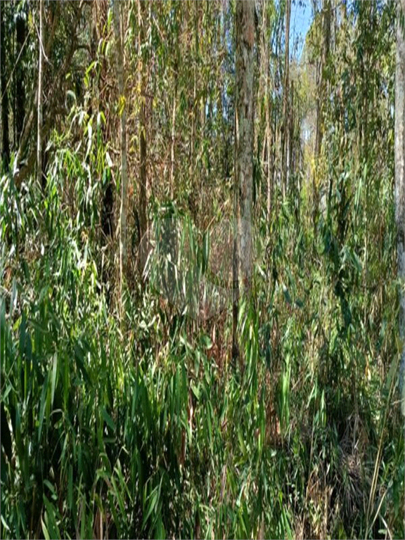 Terreno, 2201 m² - Foto 2