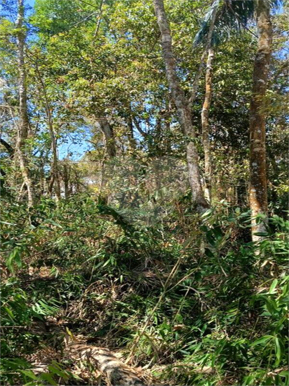 Terreno, 2201 m² - Foto 3