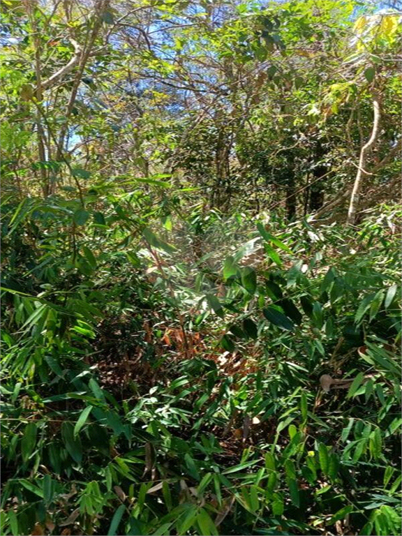 Terreno, 2201 m² - Foto 5