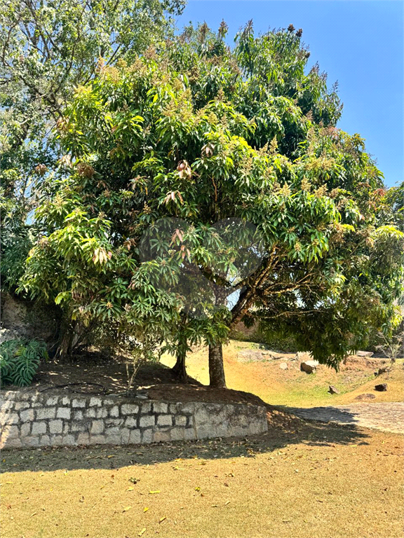 Casa, 2 quartos, 788 m² - Foto 26