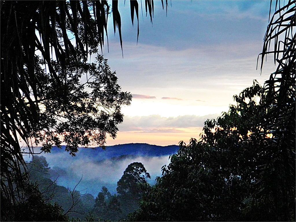 Serra da Cantareira, sonho de moradia com  terreno de 1.050 m2 , 460m2 de construção, 4 dormitórios, sendo 3 suítes , piscina e muito verde!