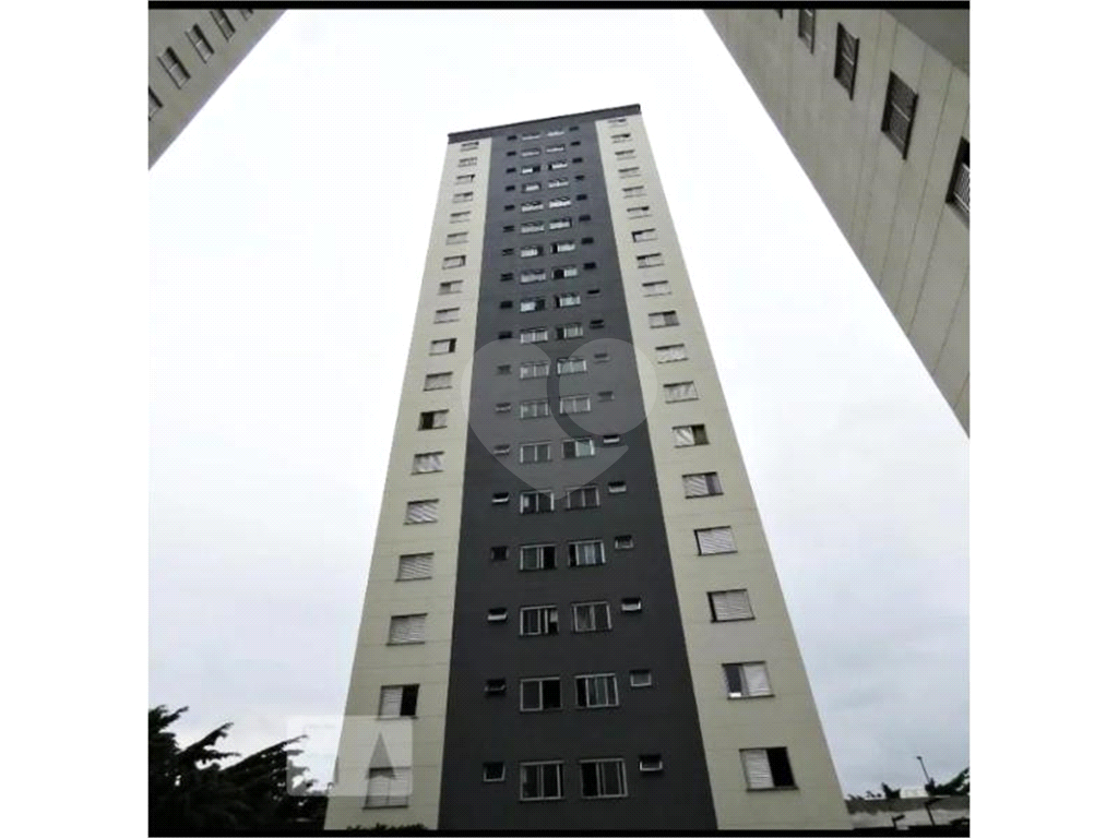 Apartamento Cachoeirinha 