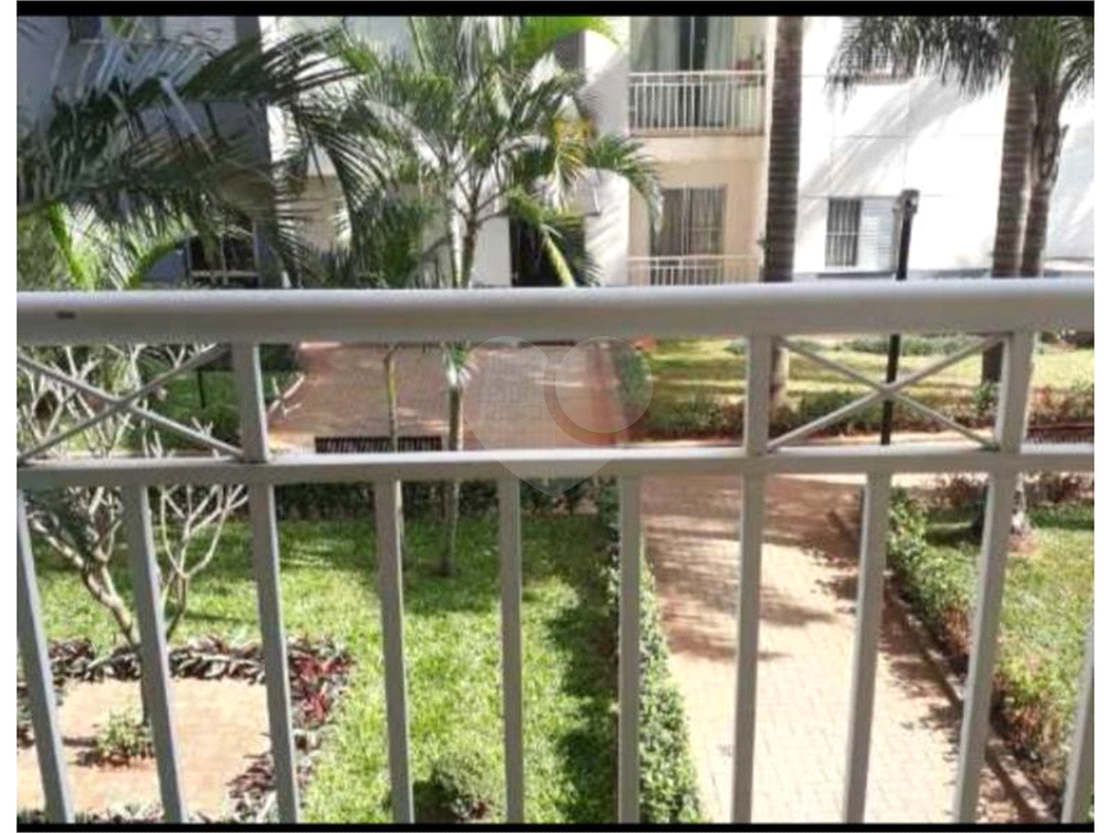 Apartamento Cachoeirinha 