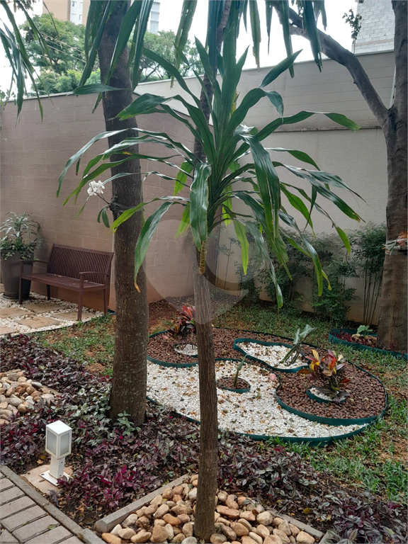 Apartamento à Venda 57 m² | 2 Dormitórios | 1 Vaga | Varanda | Lauzane Paulista