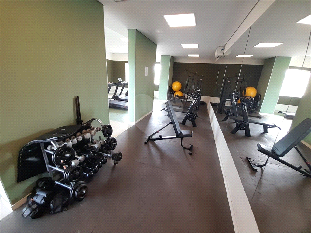 Apartamento à Venda 57 m² | 2 Dormitórios | 1 Vaga | Varanda | Lauzane Paulista